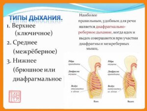 Три типа дыхания