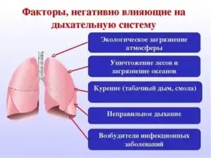 Влияние дыхания на здоровье человека